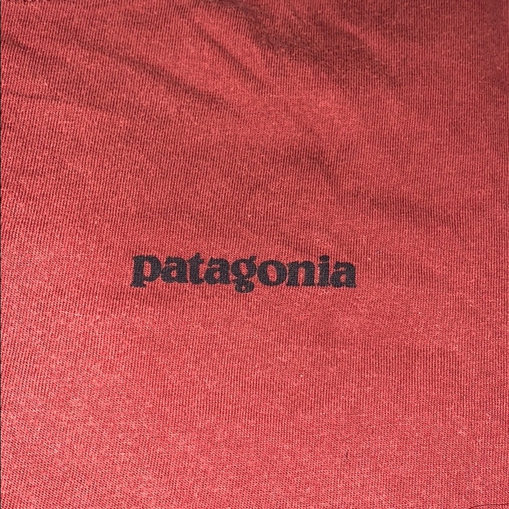 Patagonia T-Shirt